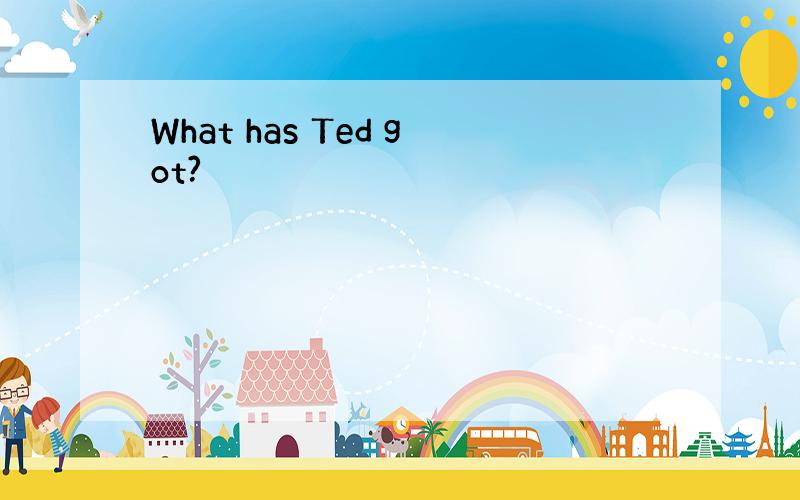 What has Ted got?