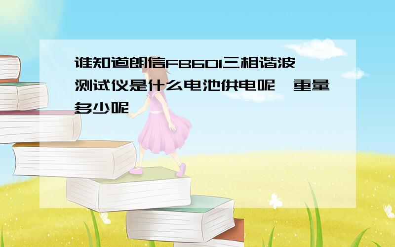 谁知道朗信FB601三相谐波测试仪是什么电池供电呢,重量多少呢