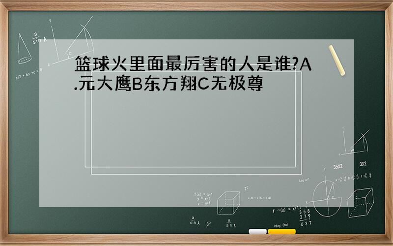 篮球火里面最厉害的人是谁?A.元大鹰B东方翔C无极尊