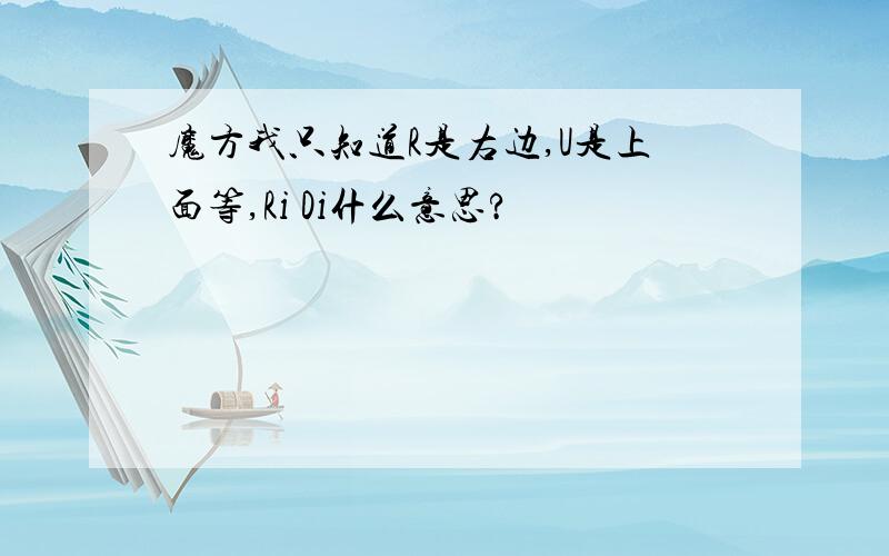 魔方我只知道R是右边,U是上面等,Ri Di什么意思?