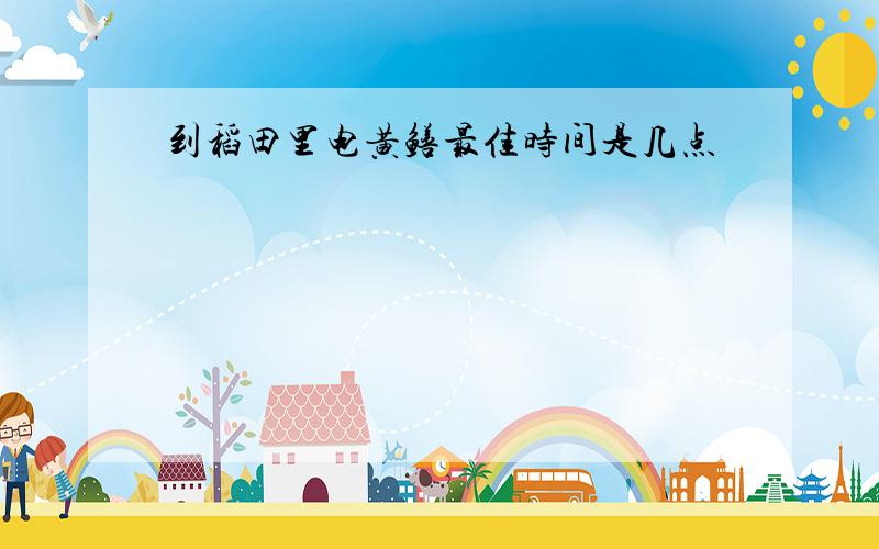 到稻田里电黄鳝最佳时间是几点