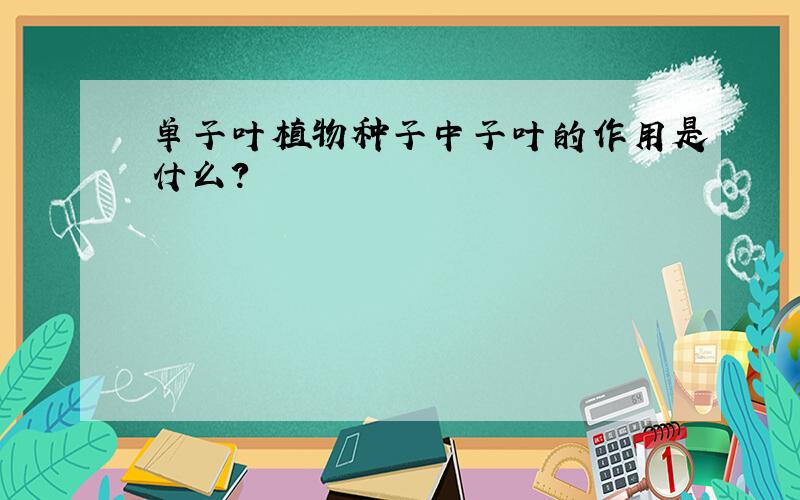 单子叶植物种子中子叶的作用是什么?