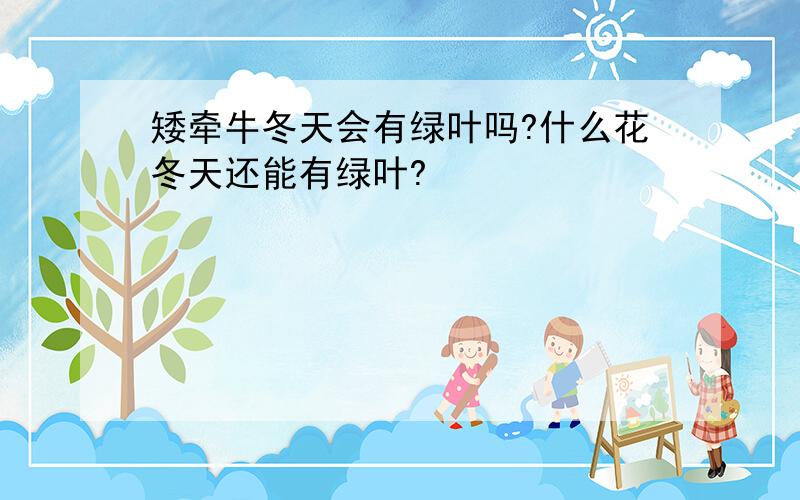 矮牵牛冬天会有绿叶吗?什么花冬天还能有绿叶?