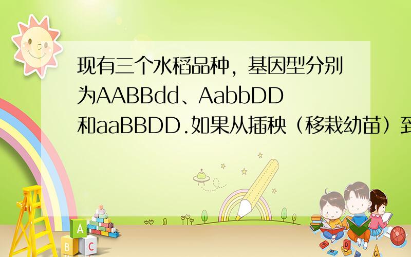 现有三个水稻品种，基因型分别为AABBdd、AabbDD和aaBBDD.如果从插秧（移栽幼苗）到获得种子（或花粉）为一次