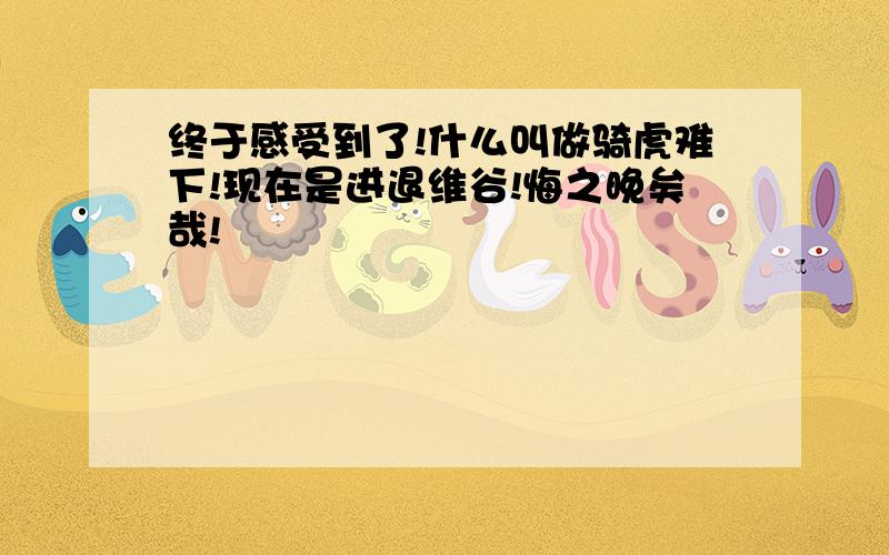 终于感受到了!什么叫做骑虎难下!现在是进退维谷!悔之晚矣哉!