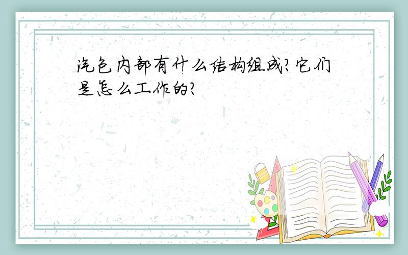 汽包内部有什么结构组成?它们是怎么工作的?