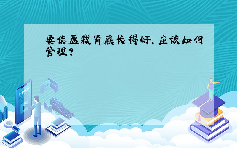 要使盆栽肾蕨长得好,应该如何管理?