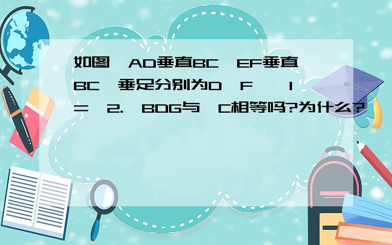 如图,AD垂直BC,EF垂直BC,垂足分别为D,F,∠1=∠2.∠BDG与∠C相等吗?为什么?