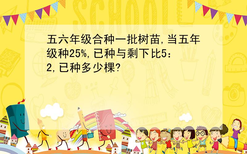 五六年级合种一批树苗,当五年级种25%,已种与剩下比5：2,已种多少棵?