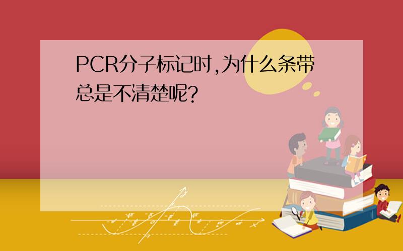 PCR分子标记时,为什么条带总是不清楚呢?