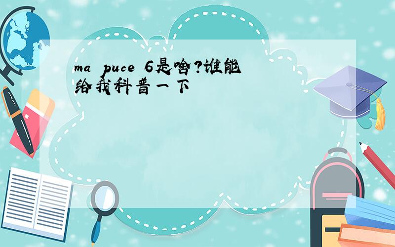 ma puce 6是啥?谁能给我科普一下