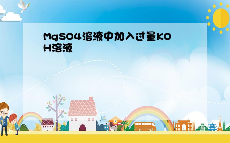 MgSO4溶液中加入过量KOH溶液