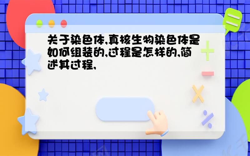 关于染色体,真核生物染色体是如何组装的,过程是怎样的,简述其过程,