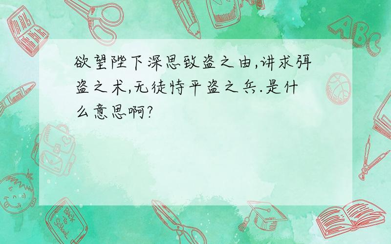 欲望陛下深思致盗之由,讲求弭盗之术,无徒恃平盗之兵.是什么意思啊?