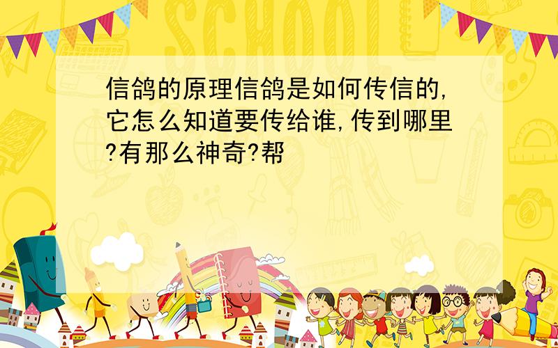 信鸽的原理信鸽是如何传信的,它怎么知道要传给谁,传到哪里?有那么神奇?帮