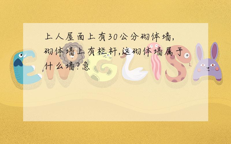 上人屋面上有30公分砌体墙,砌体墙上有栏杆,这砌体墙属于什么墙?急