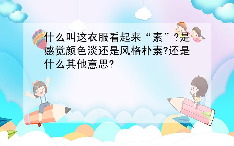 什么叫这衣服看起来“素”?是感觉颜色淡还是风格朴素?还是什么其他意思?