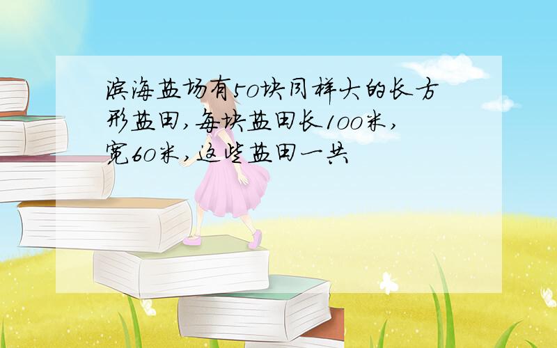 滨海盐场有5o块同样大的长方形盐田,每块盐田长1oo米,宽6o米,这些盐田一共