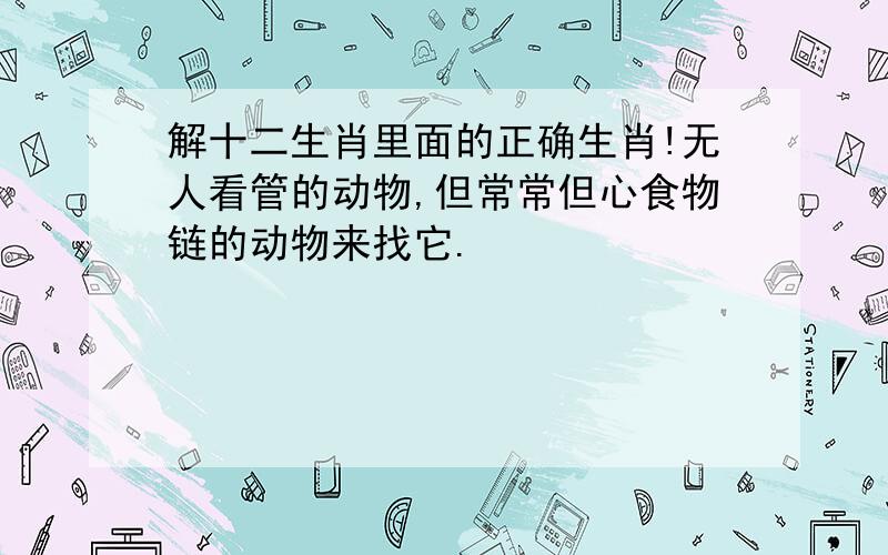 解十二生肖里面的正确生肖!无人看管的动物,但常常但心食物链的动物来找它.