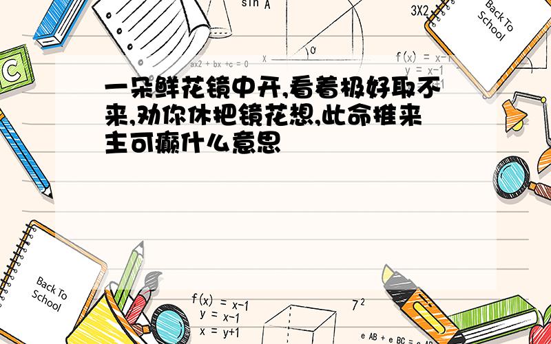 一朵鲜花镜中开,看着极好取不来,劝你休把镜花想,此命推来主可癫什么意思