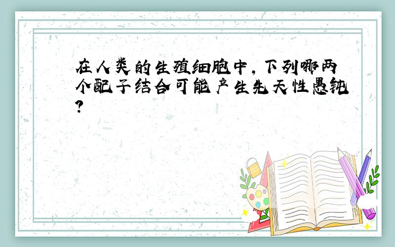 在人类的生殖细胞中,下列哪两个配子结合可能产生先天性愚钝?