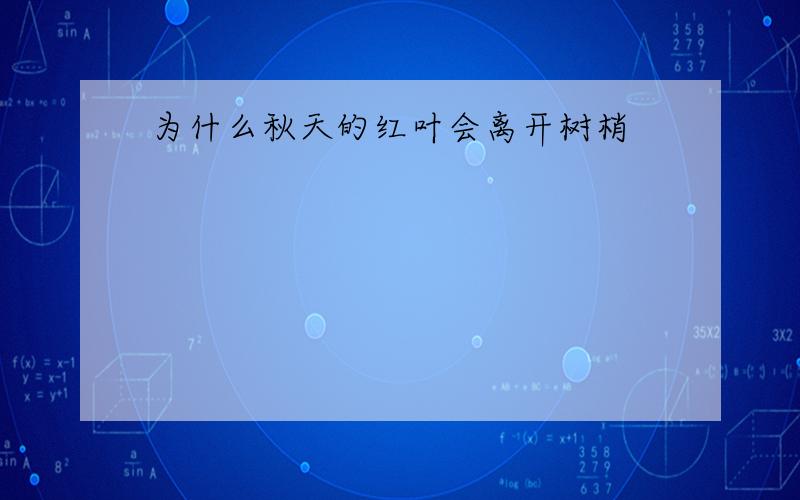 为什么秋天的红叶会离开树梢