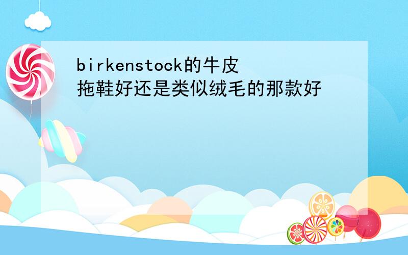 birkenstock的牛皮拖鞋好还是类似绒毛的那款好