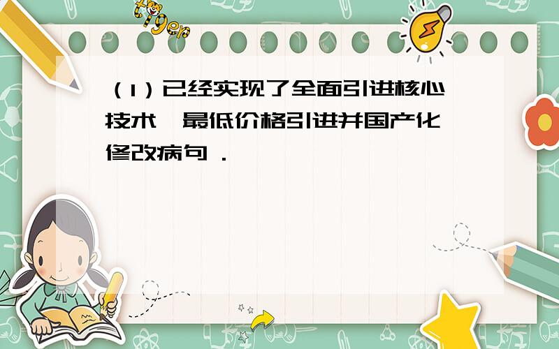 （1）已经实现了全面引进核心技术、最低价格引进并国产化 修改病句 .