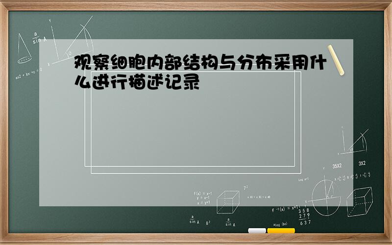 观察细胞内部结构与分布采用什么进行描述记录