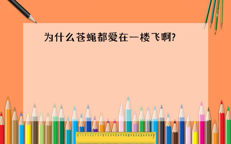 为什么苍蝇都爱在一楼飞啊?