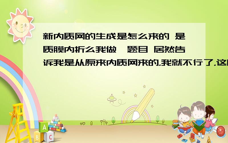 新内质网的生成是怎么来的 是质膜内折么我做一题目 居然告诉我是从原来内质网来的，我就不行了，这明显不对啊