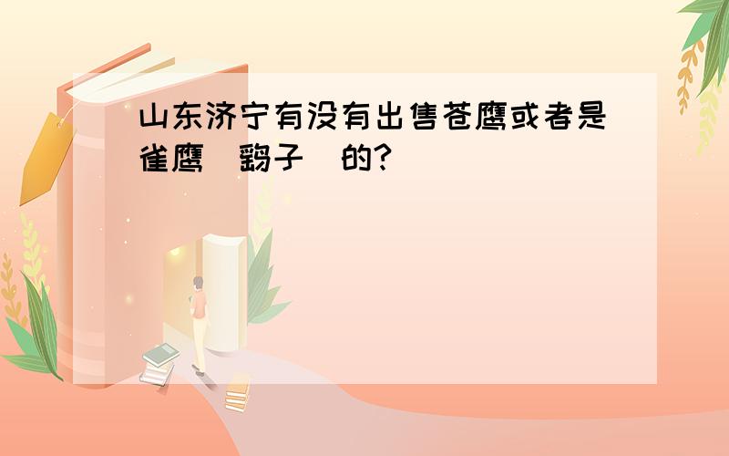 山东济宁有没有出售苍鹰或者是雀鹰(鹞子)的?