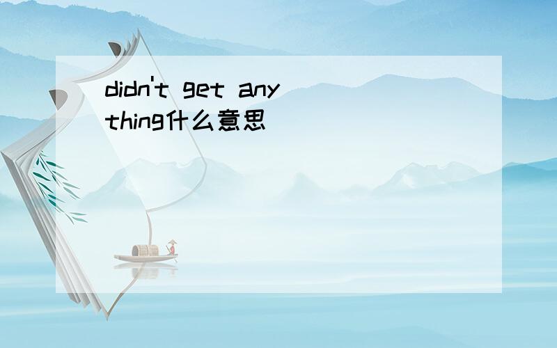 didn't get anything什么意思