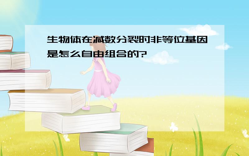 生物体在减数分裂时非等位基因是怎么自由组合的?