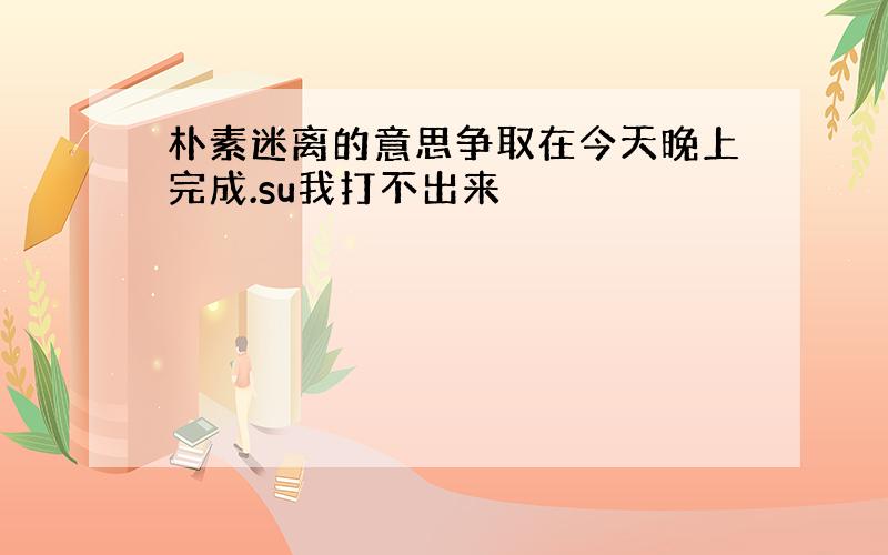 朴素迷离的意思争取在今天晚上完成.su我打不出来