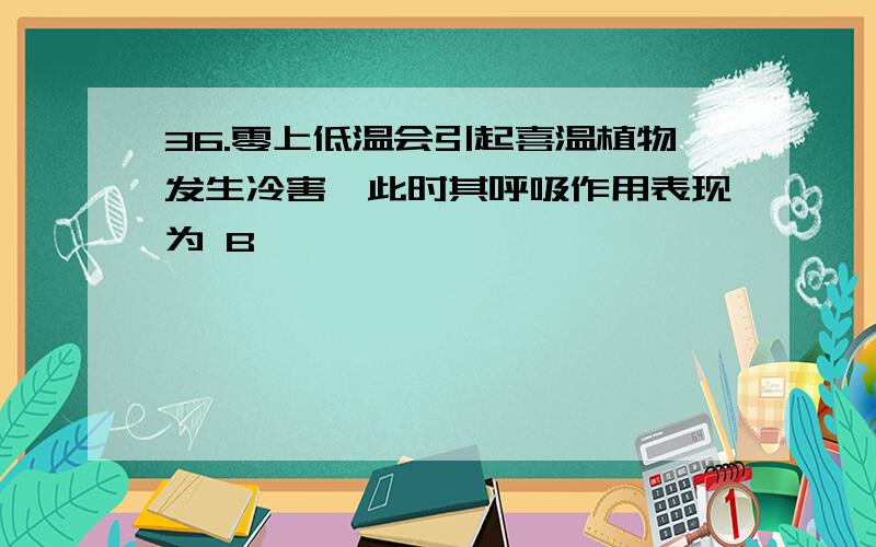 36.零上低温会引起喜温植物发生冷害,此时其呼吸作用表现为 B