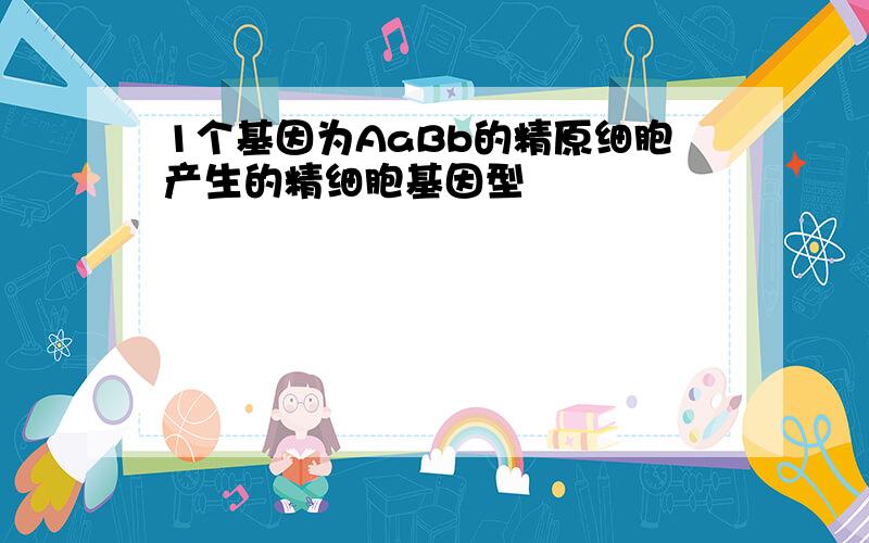 1个基因为AaBb的精原细胞产生的精细胞基因型