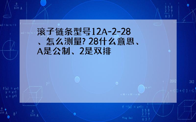 滚子链条型号12A-2-28、怎么测量? 28什么意思、A是公制、2是双排