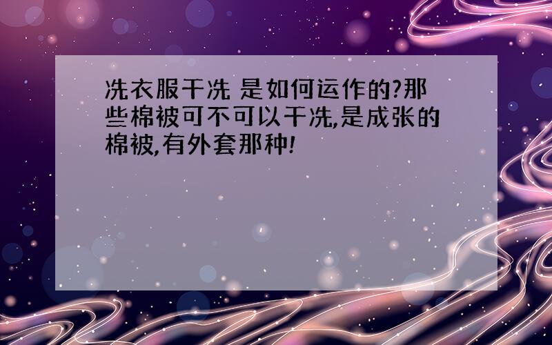 冼衣服干冼 是如何运作的?那些棉被可不可以干冼,是成张的棉被,有外套那种!