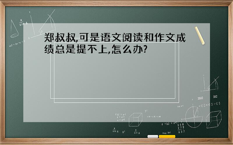 郑叔叔,可是语文阅读和作文成绩总是提不上,怎么办?