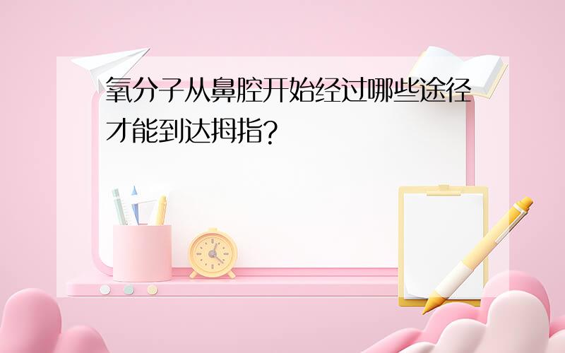 氧分子从鼻腔开始经过哪些途径才能到达拇指?