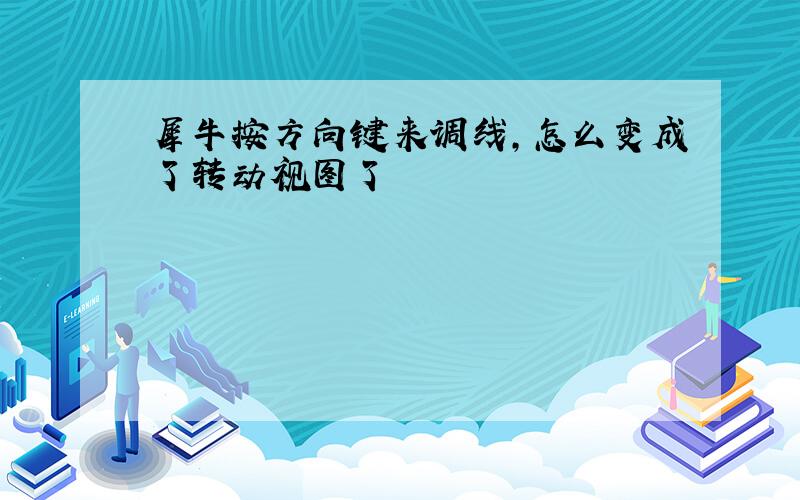 犀牛按方向键来调线,怎么变成了转动视图了