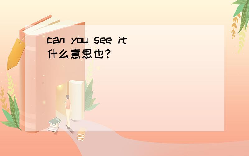 can you see it什么意思也?