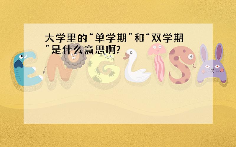 大学里的“单学期”和“双学期”是什么意思啊?