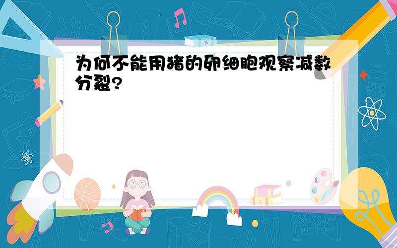 为何不能用猪的卵细胞观察减数分裂?