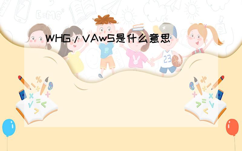 WHG/VAwS是什么意思