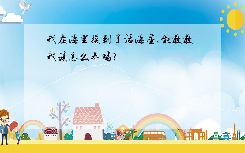 我在海里摸到了活海星,能教教我该怎么养吗?