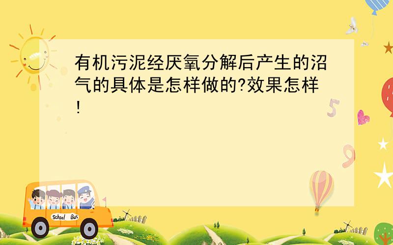 有机污泥经厌氧分解后产生的沼气的具体是怎样做的?效果怎样!