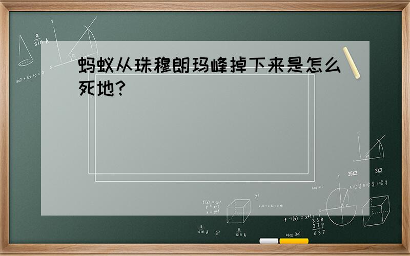 蚂蚁从珠穆朗玛峰掉下来是怎么死地?