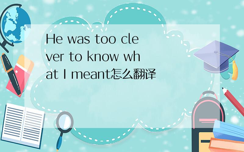 He was too clever to know what I meant怎么翻译